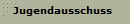 Jugendausschuss